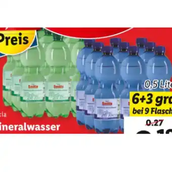 Lidl Saskia mineralwasser versch. sorten lidl 0.50 liter 1 flasche Angebot