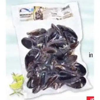 Maximarkt Miesmuscheln natur maximarkt 1 kilogramm 1 packung Angebot