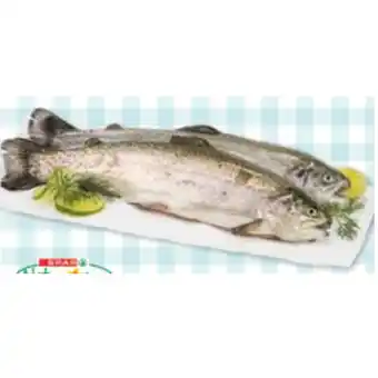 Maximarkt Spar natur pur bio-forelle maximarkt 100 gramm Angebot