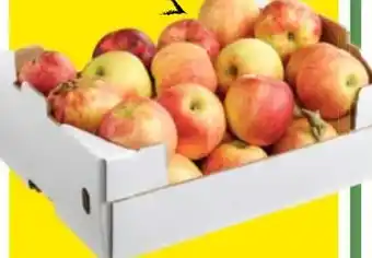 Maximarkt Äpfel jonagold Angebot