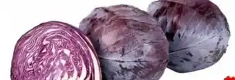 Transgourmet Rotkraut Angebot