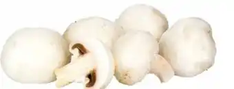 Transgourmet Champignons Angebot