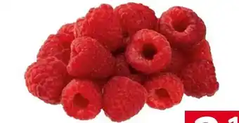 Transgourmet Himbeeren Angebot