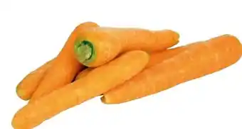 Transgourmet Bio karotten Angebot