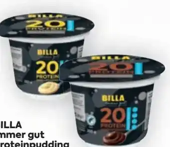 Immer gut protein pudding
