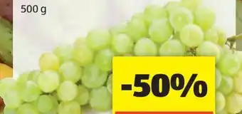 Hofer Trauben Angebot