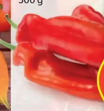 Hofer Spitzpaprika Angebot