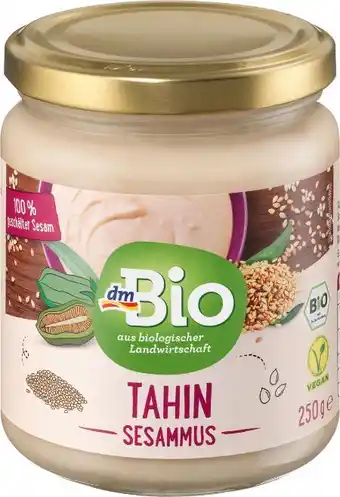 dm Tahin sesammus Angebot