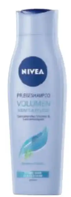 Metro Shampoo Angebot