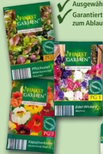 Norma Samen Angebot