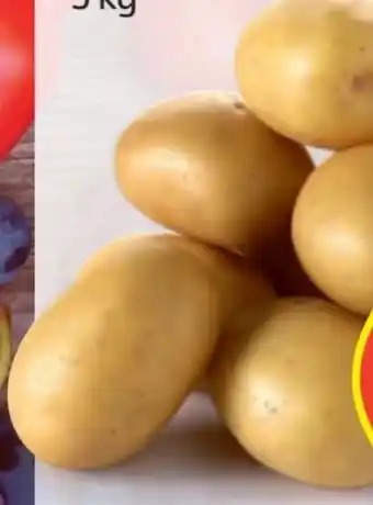 Hofer Kartoffeln Angebot