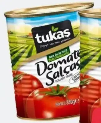 ETSAN Tomatenmark Angebot