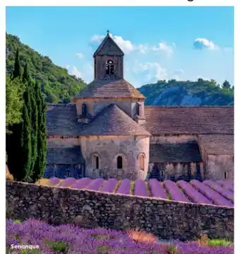 Billa Reisen Provence savoir-vivre Angebot