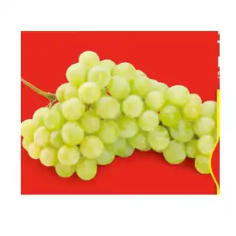 Hofer Hofer marktplatz trauben kernlos weiss hofer 500 gramm 1 packung Angebot