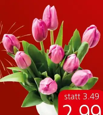 Spar frühlingshafte Tulpen Angebot