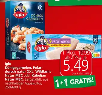 Spar Iglo Königsgarnelen, Polar-dorsch natur XXL, Wildlachs Natur Angebot