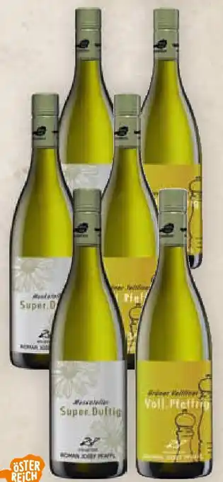 Billa Pfaffl RJP Gelber Muskateller Super.Duftig od. Grüner Veltliner Voll.Pfeffrig Angebot