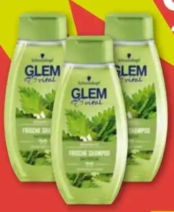 ADEG Glem Vital Shampoo od. Balsam Angebot