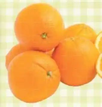 Maximarkt Orangen Angebot