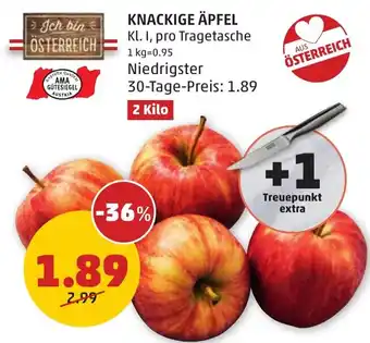 PENNY KNACKIGE ÄPFEL Angebot
