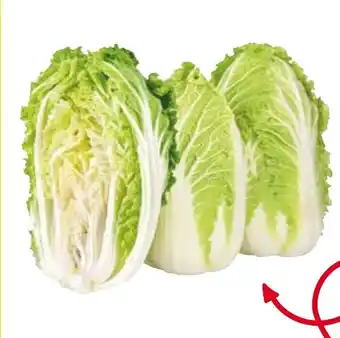 Transgourmet CHINAKOHL Angebot
