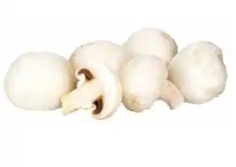Transgourmet CHAMPIGNON Angebot