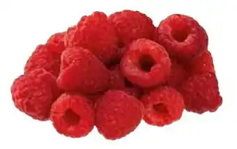Transgourmet HIMBEEREN Angebot