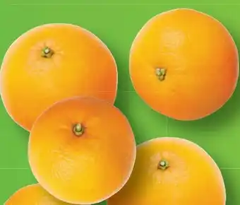 Lidl Premium orangen Angebot