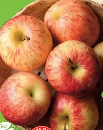 Lidl Bio-äpfel Angebot