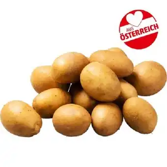 PENNY Echt bio erdäpfel speckig penny 3 kilogramm 1 netz Angebot