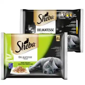 PENNY Sheba beutel div.sorten penny 340 gramm 1 packung Angebot
