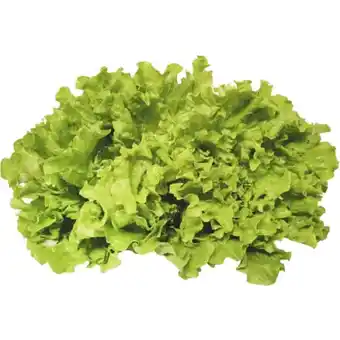 MPreis Gentile salat mpreis 1 stück Angebot