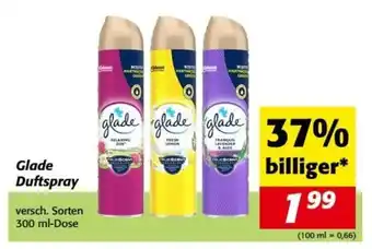 Nah&Frisch Glade Duftspray Angebot