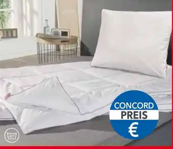 Matratzen Concord Polster Angebot