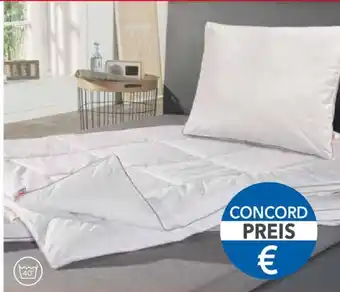 Matratzen Concord Vierjahreszeiten-Steppbett Angebot