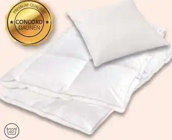 Matratzen Concord Daunendecke 4x6| Angebot