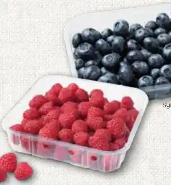 ADEG Himbeeren Angebot