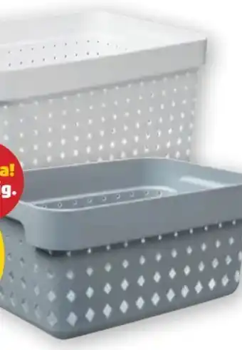 PENNY Aufbewahrungskorb Angebot