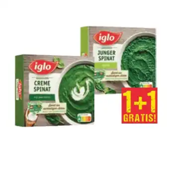 Maximarkt Iglo marchfelder cremespinat oder spinat passiert maximarkt 450 gramm 1 packung Angebot