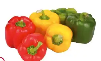 Transgourmet Paprika mix Angebot