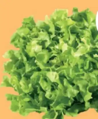 MPreis Gentile salat Angebot