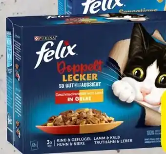 Spar Felix katzennahrung Angebot