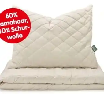 Interspar Frankenstolz polster Angebot