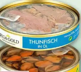 Norma Fisch spezialitäten Angebot