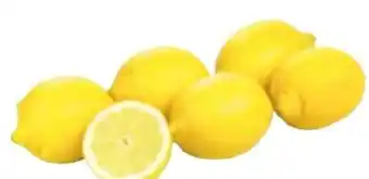 Transgourmet Bio zitronen Angebot