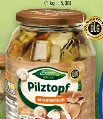 Norma Pilztopf Angebot