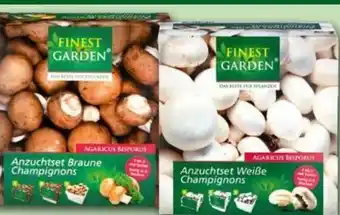 Norma Champignon anzuchtset Angebot