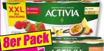 Norma Activia fruchtjoghurt Angebot