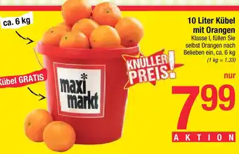 Maximarkt 10 Liter Kübel mit Orangen Angebot