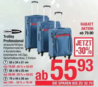 Maximarkt Trolley Professional Angebot